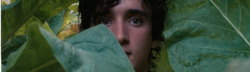 Happy as Lazzaro